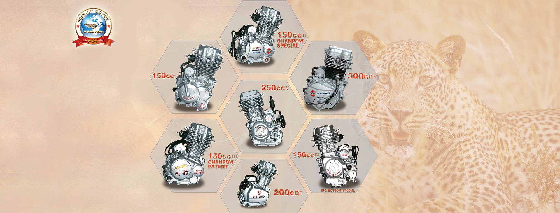 ZHEJIANG CHANLIN CHUANBAO MOTOCYCLE
